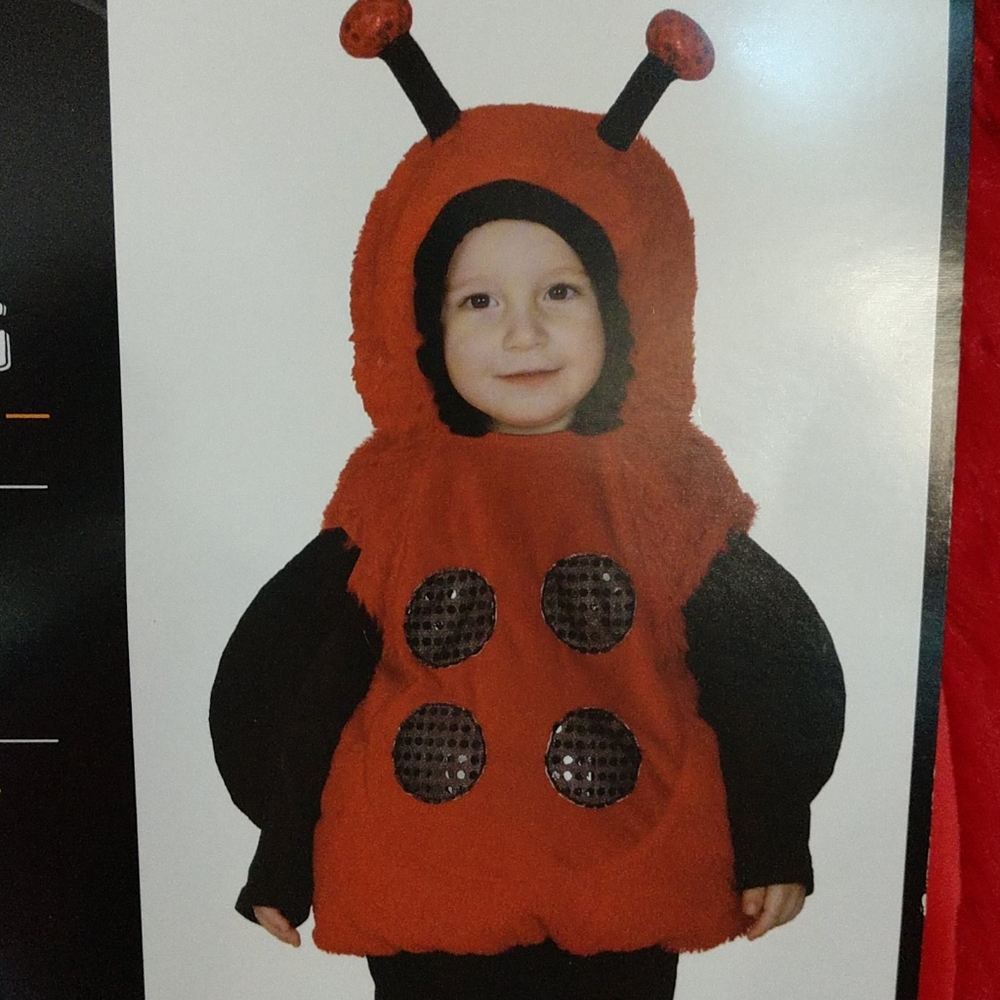 Lady Bug Halloween Costume (12-18M)